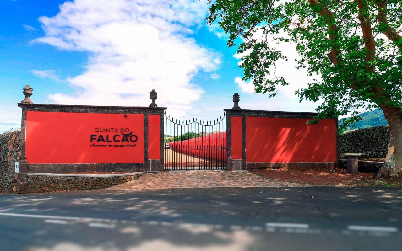 Quinta Do Falcao Almagreira  Экстерьер фото